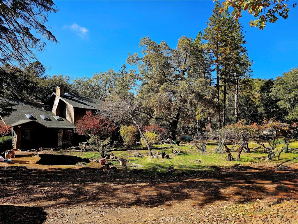 38088 Serpa Canyon Rd, Coarsegold, CA 93614