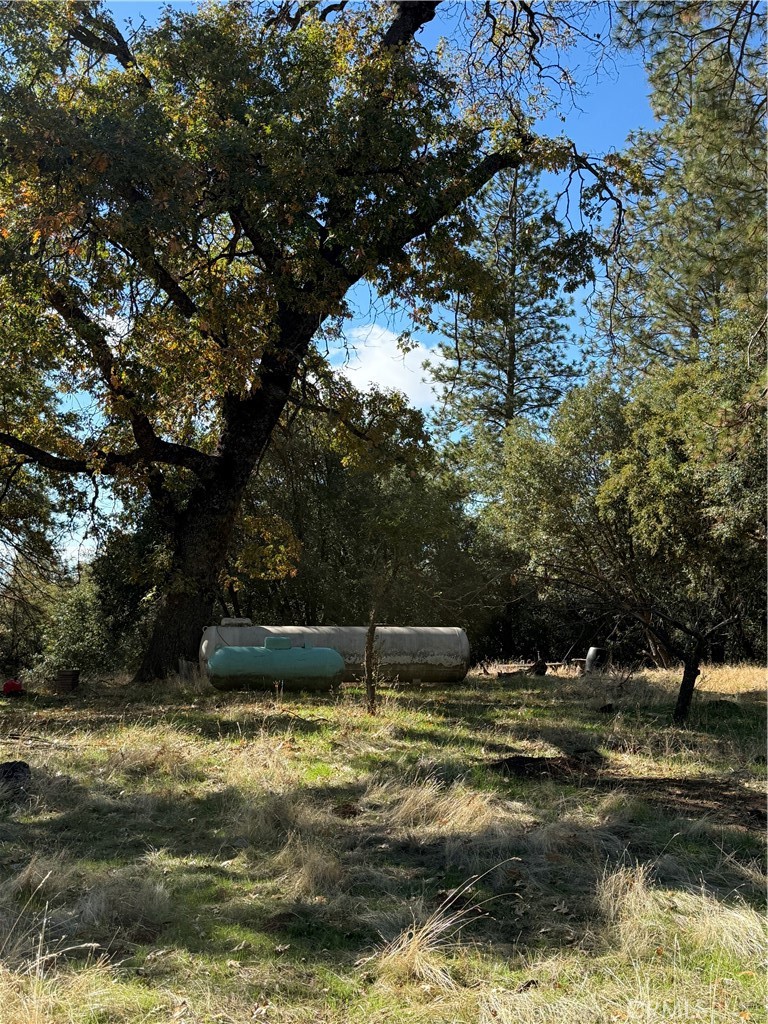 38088 Serpa Canyon Rd, Coarsegold, CA 93614