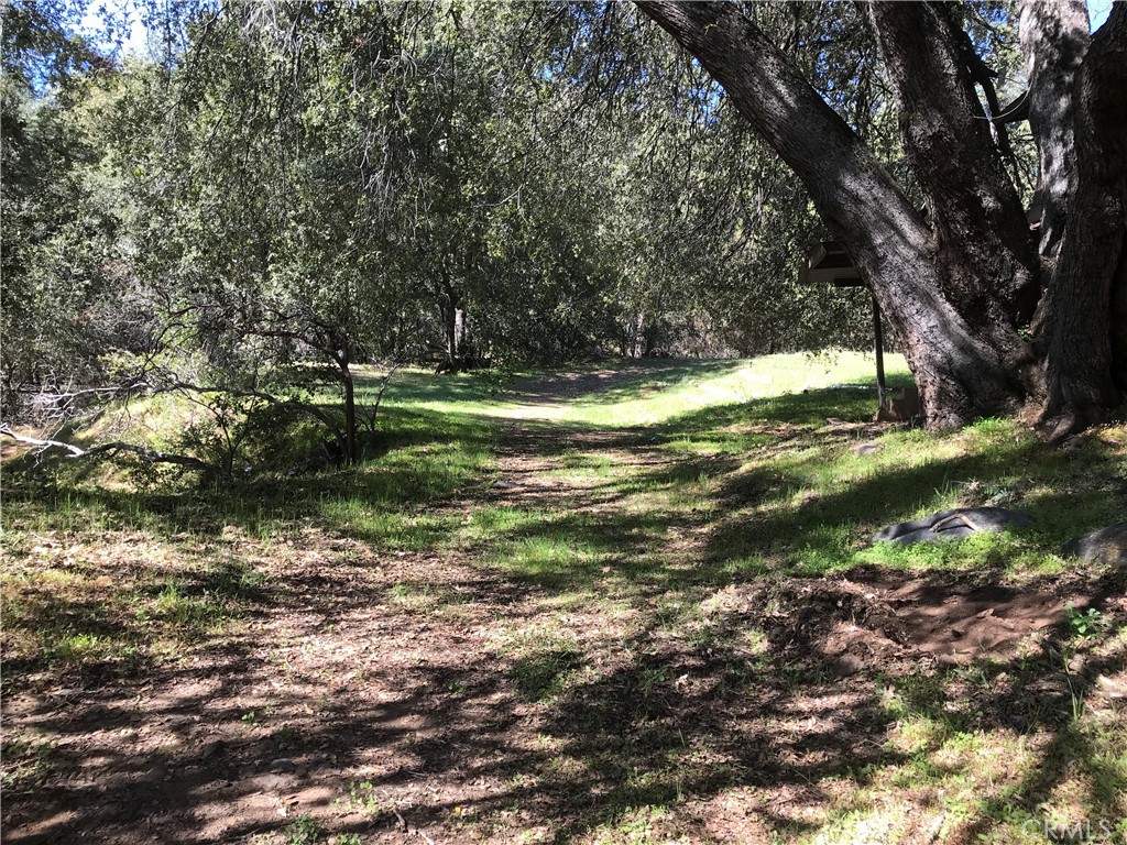 38088 Serpa Canyon Rd, Coarsegold, CA 93614