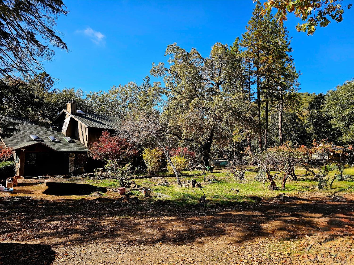 38088 Serpa Canyon Rd, Coarsegold, CA 93614