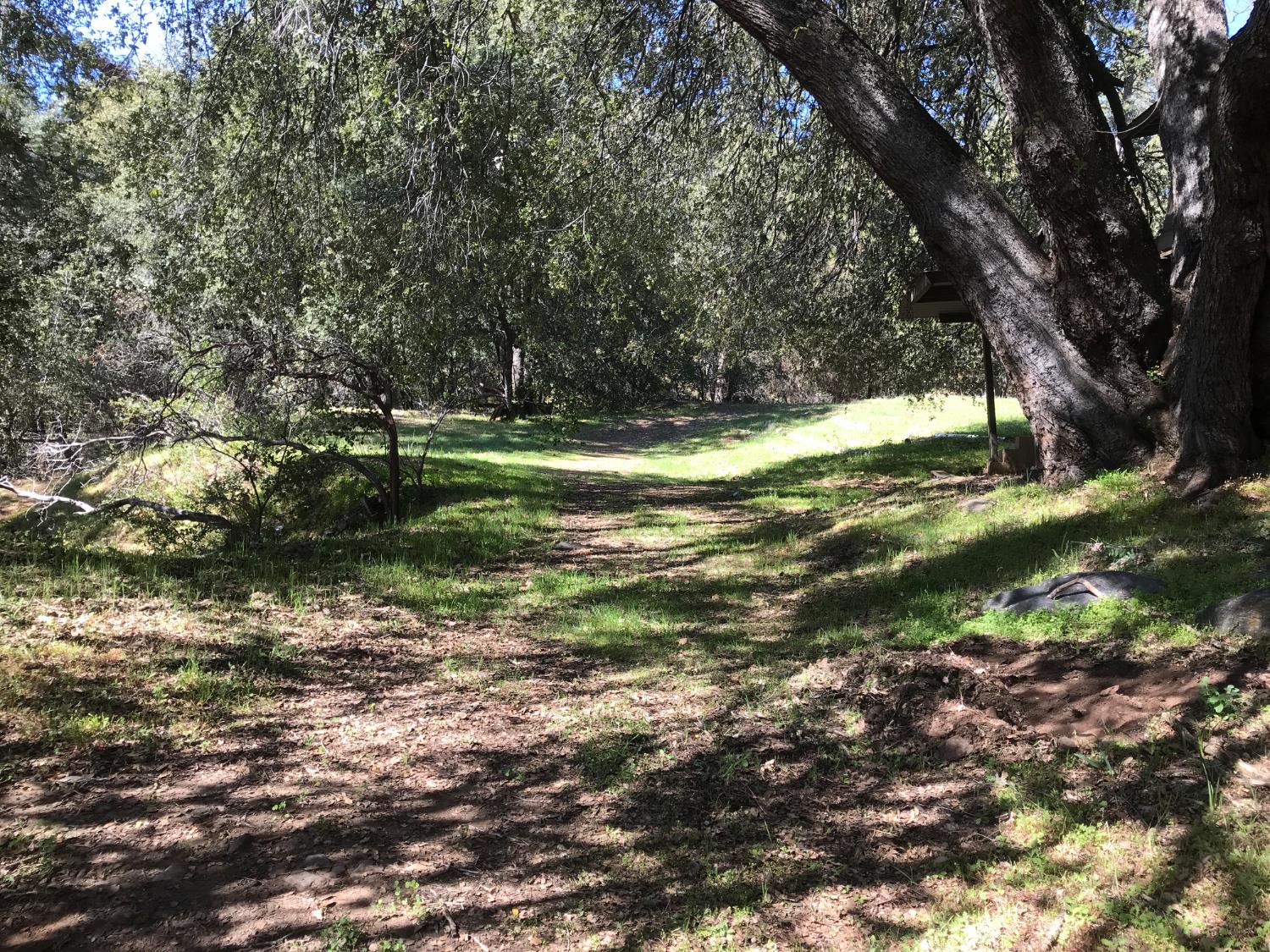 38088 Serpa Canyon Rd, Coarsegold, CA 93614