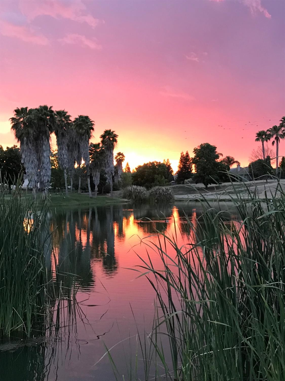 2825 Amalfi, Chowchilla, CA 93610