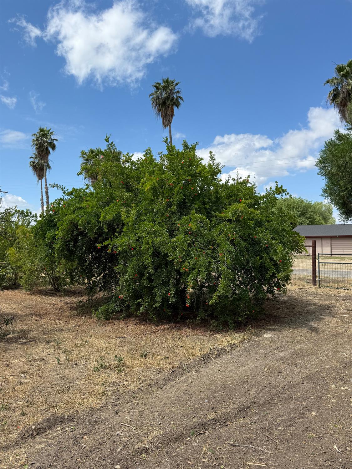 24437 Road 18 1/2, Chowchilla, CA 93610