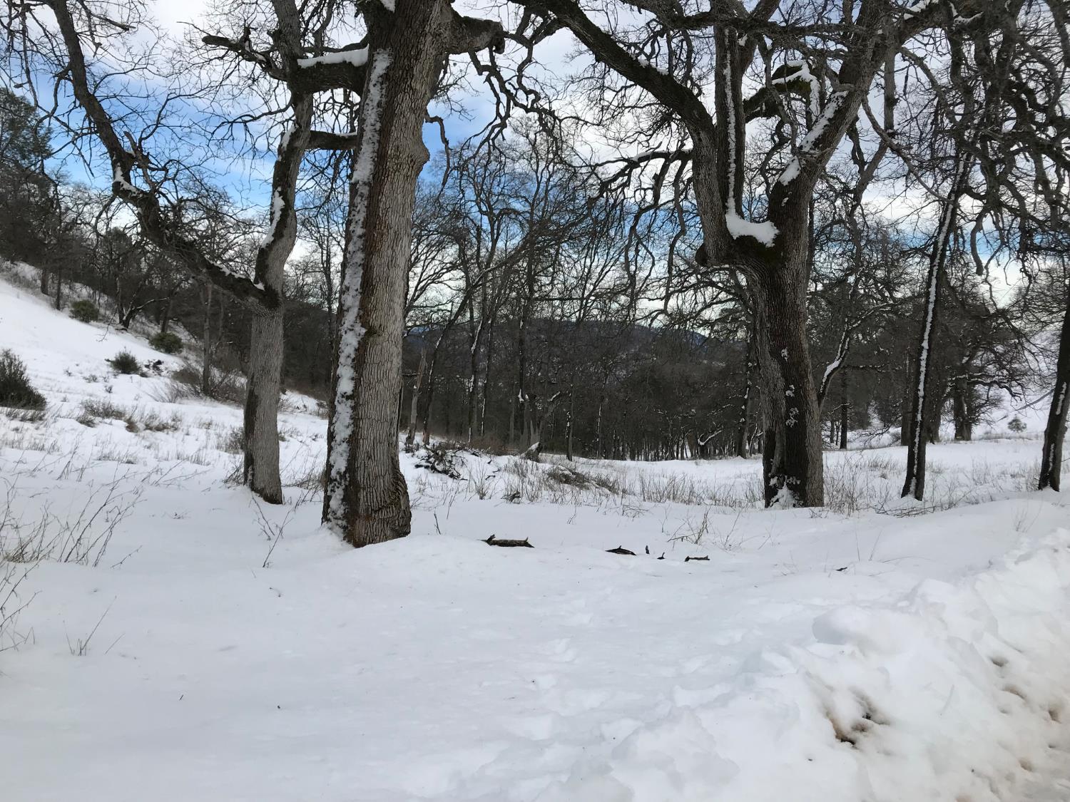 38088 Serpa Canyon Rd, Coarsegold, CA 93614